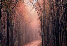 阿森纳联赛主场战富勒姆32场无败绩,创英伦主场交手不败场次纪录.