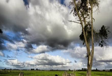 问鼎娱乐：火箭近14场比赛仅输掘金&湖人未来将战雷霆&勇士&快船.