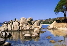 骑士逆转拓荒者取十连胜 成NBA赛季首支50胜球队.